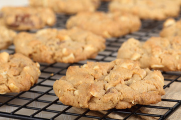 Peanut Butter Cookies Cooling