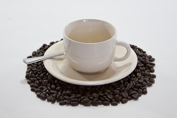 Coffee Beans Surround Coffee Cup on Isolated White Background