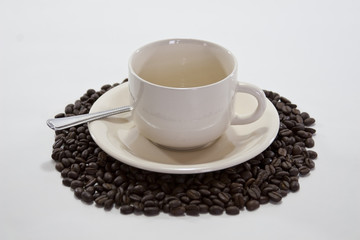 Coffee Beans Surround Coffee Cup on Isolated White Background