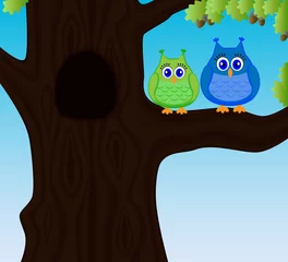 Cercles muraux Oiseaux dans la forêt Deux hiboux drôles mignons se reposant sur une branche de chêne