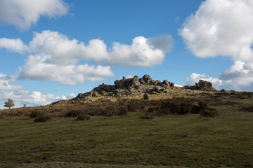 Hound Tor Dartmoor National Park Devon Uk © annacurnow