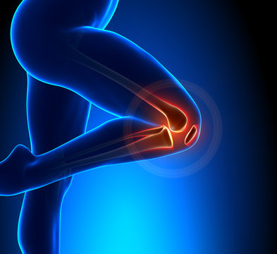 Knee Pain Superior View