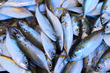 Obraz premium Fresh Fish on a Market