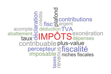 Nuage de mots impôts