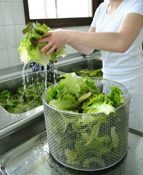 Salat waschen