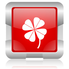four-leaf clover red square web glossy icon