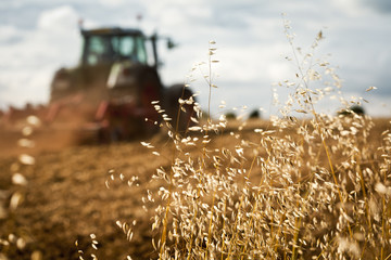 Obraz premium Tractor ploughing field