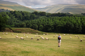 Walking in Cumbria
