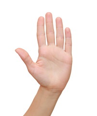 Obraz na płótnie Canvas Woman hand palm gesture isolated on white background