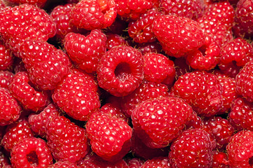 ripe raspberry
