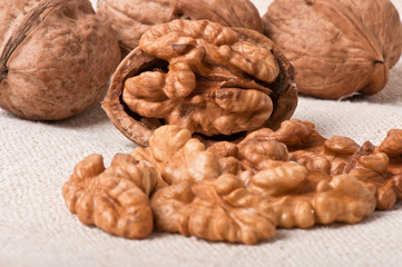 walnuts on a background of old fabric