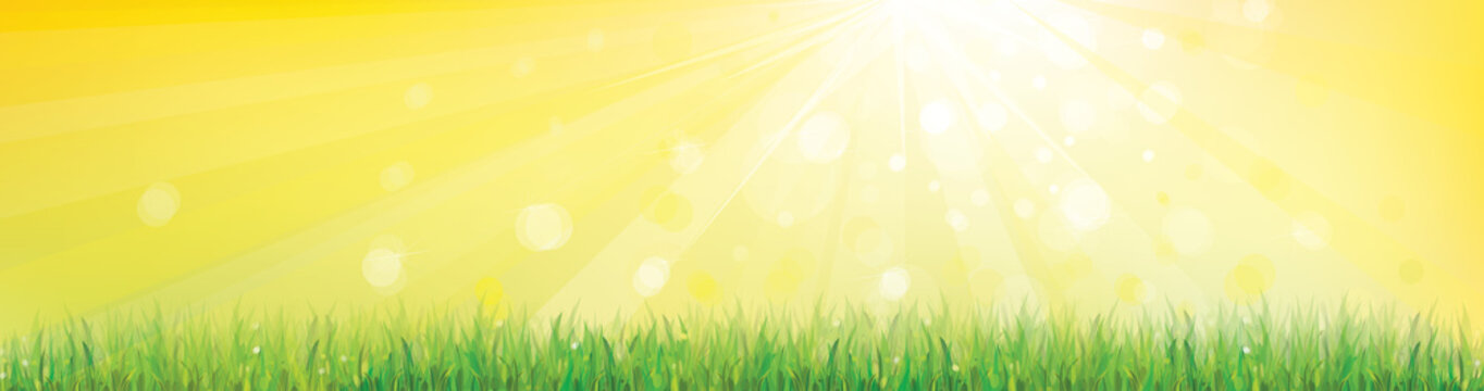 Vector of spring background with green grass.
