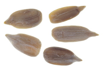 Sonnenblumenkerne freigestellt