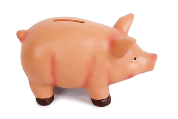 hucha de cerdo aislada en fondo blanco