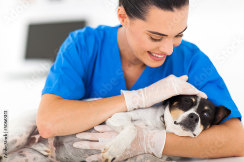 listings dogs first nursing care sick listings dogs first nursing care sick