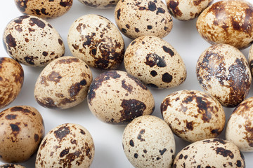 quail eggs