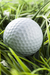 Pure White Golfball on green grass