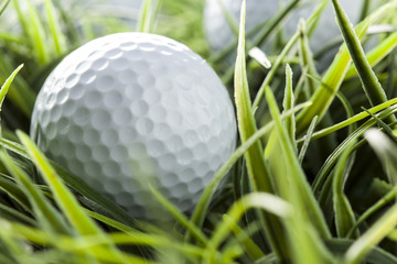 Pure White Golfball on green grass