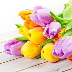 Obraz premium Tulpen