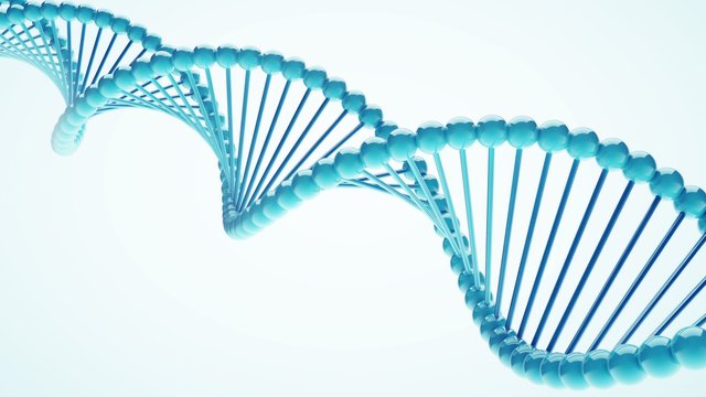 DNA Close-up