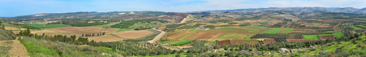 Fototapeta na wymiar Israeli landscape panorama