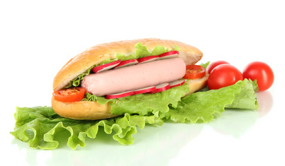 Tasty hot dog with vegetables isolated on white