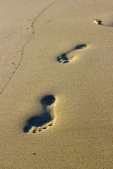 Fototapeta na wymiar Footprints on the wet sand