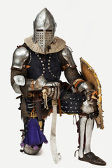 Portrait of a valorouse knight