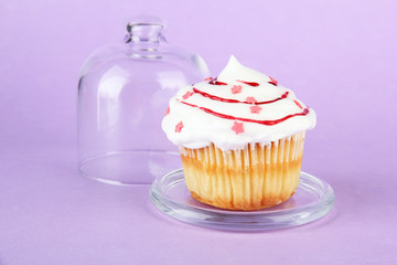 Cupcake on saucer with glass cover, on color background