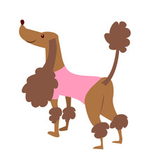 icon_ Pet