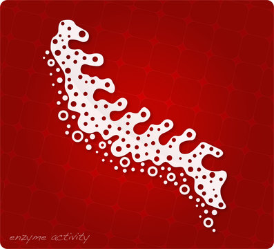 Enzyme Activity