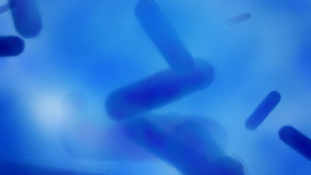 Blue bacteria motion background