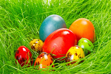 Colorful Easter eggs in the grass