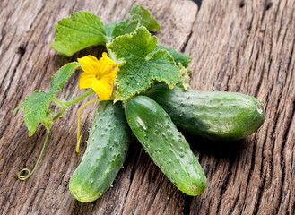 Cucumbers with leaves