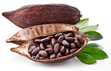 Cocoa pod