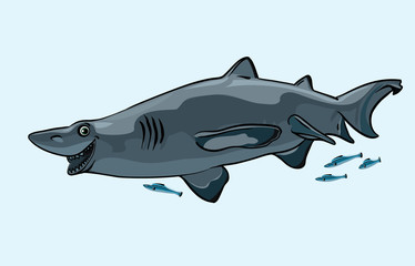 Happy shark