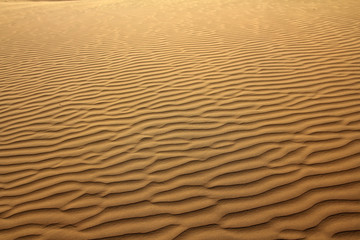 sand in desert