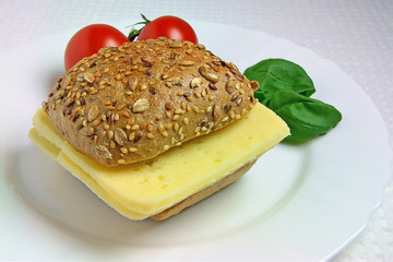 Käse-Sandwich 02