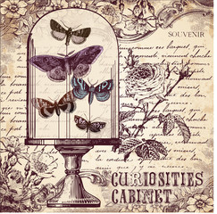 Plakaty  The Curiosities Cabinet