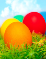 Fototapeta na wymiar Colorful eggs on green grass