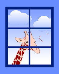 giraffe outside the window