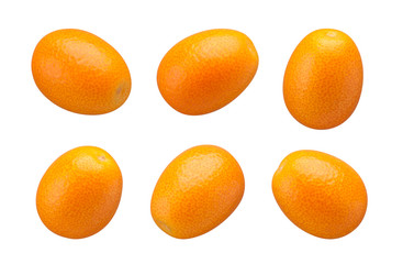 Kumquats isolated