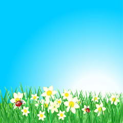 Frühling Hintergrund