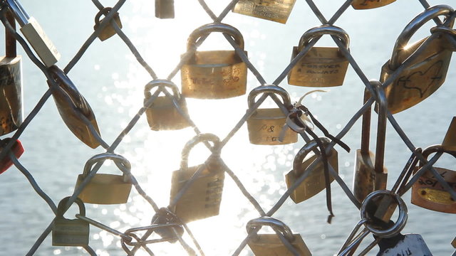Pont des Arts Padlocks.