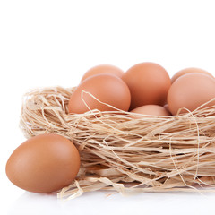 Macro shoot of brown eggs at hay nest in chicken farm, isolated