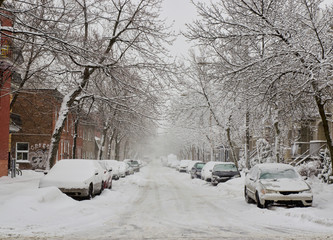 Snow storm  in Montreal