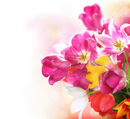 Obraz na płótnie Canvas Kwiaty. Pęczek tulipanów