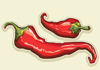Red hot peppers isolated for design