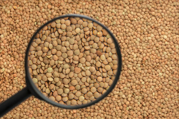 Lentils through a magnifying glass