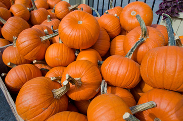 Pumpkins